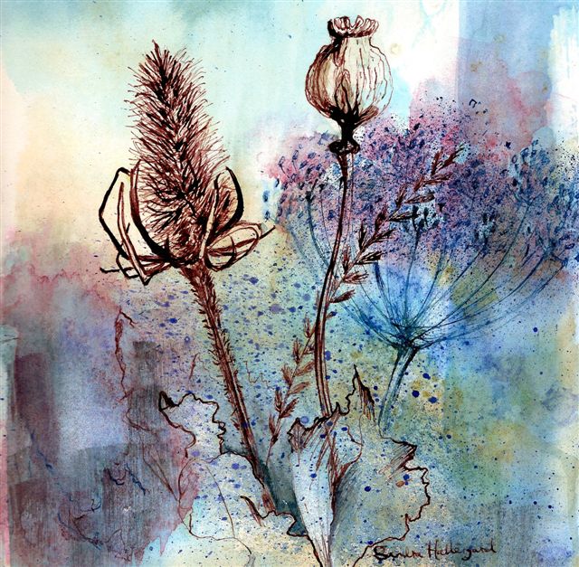 2007 Teasel & Poppy Watercolour + ink
